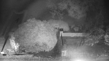 Snímek    18.10.2025 v 03:30