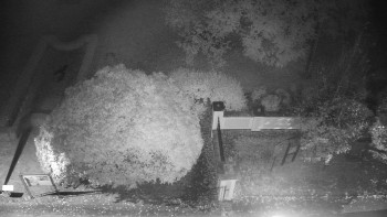 Snímek    18.10.2025 v 05:00