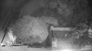 Snímek    19.10.2025 v 18:30