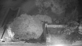 Snímek    20.10.2025 v 06:30