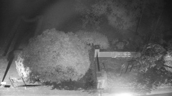 Snímek    20.10.2025 v 20:00