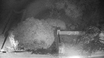 Snímek    21.10.2025 v 06:30