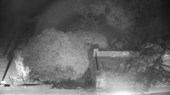 Snímek    21.10.2025 v 21:00