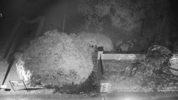 Snímek    22.10.2025 v 19:00