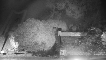 Snímek    22.10.2025 v 21:00