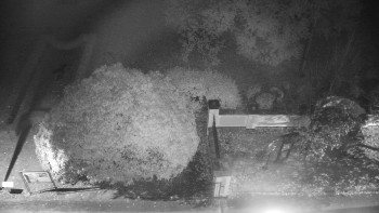 Snímek    22.10.2025 v 22:30