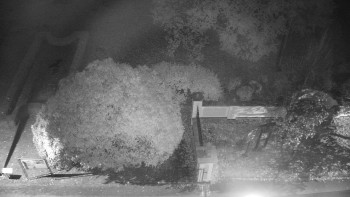 Snímek    23.10.2025 v 06:30