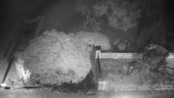 Snímek    24.10.2025 v 03:00