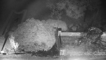 Snímek    24.10.2025 v 05:00