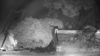 Snímek    24.10.2025 v 05:30