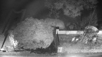 Snímek    24.10.2025 v 06:00