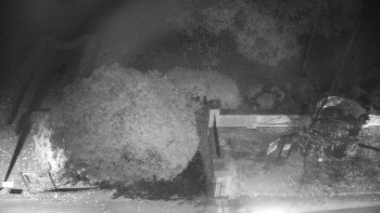 Snímek    26.10.2025 v 20:00