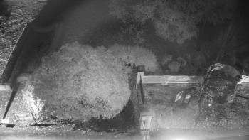 Snímek    27.10.2025 v 20:00