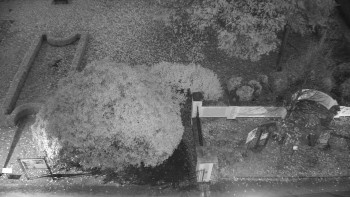 Snímek    29.10.2025 v 06:00