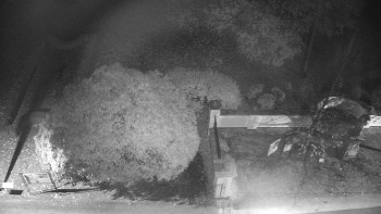 Snímek    29.10.2025 v 18:00