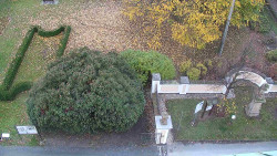 Veselíčko - zahrada u zámku