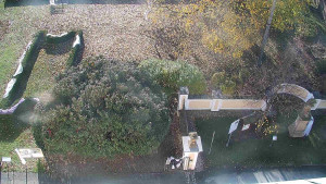 Obec Veselíčko - Veselíčko - zahrada u zámku - 31.10.2025 v 08:30 Obec Veselíčko - Veselíčko - zahrada u zámku - 31.10.2025 v 08:30