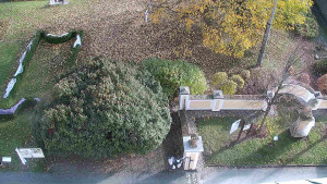 Obec Veselíčko - Veselíčko - zahrada u zámku - 31.10.2025 v 13:30 Obec Veselíčko - Veselíčko - zahrada u zámku - 31.10.2025 v 13:30