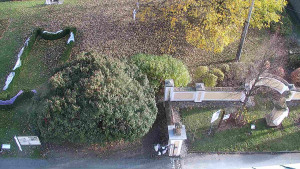 Obec Veselíčko - Veselíčko - zahrada u zámku - 31.10.2025 v 14:30 Obec Veselíčko - Veselíčko - zahrada u zámku - 31.10.2025 v 14:30