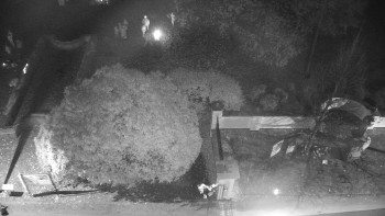 Snímek    31.10.2025 v 19:00