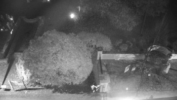 Snímek    31.10.2025 v 19:30