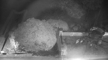 Snímek    1.11.2025 v 03:30