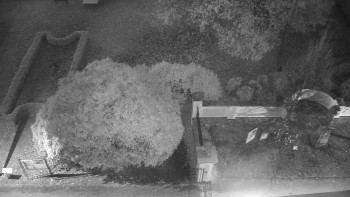 Snímek    1.11.2025 v 06:00