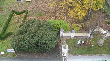 Snímek    1.11.2025 v 07:30