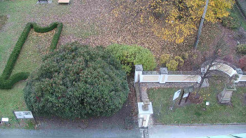 Snímek    2.11.2025 v 11:30