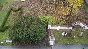 Snímek    3.11.2025 v 07:30