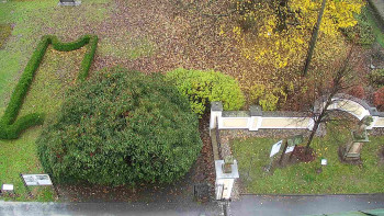 Snímek    3.11.2025 v 12:00