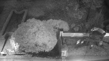 Snímek    4.11.2025 v 06:00