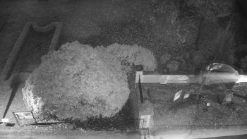 Snímek    5.11.2025 v 06:00