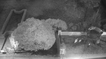 Snímek 6.11.2025 v 06:00