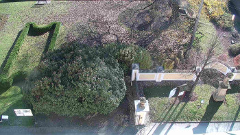 Snímek 6.11.2025 v 12:00