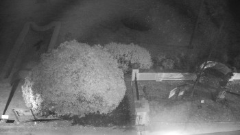 Snímek 7.11.2025 v 03:30