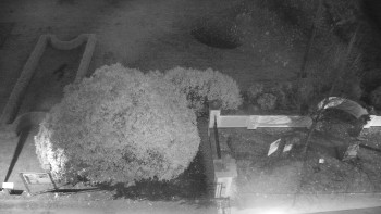 Snímek 7.11.2025 v 06:00