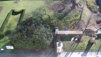 Snímek 7.11.2025 v 12:00