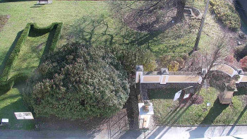 Snímek 7.11.2025 v 12:30