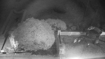 Snímek    8.11.2025 v 03:00