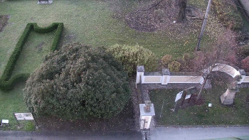 Snímek 8.11.2025 v 06:30