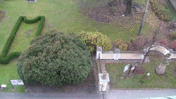 Veselíčko - zahrada u zámku