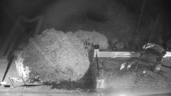 Snímek 8.11.2025 v 17:30