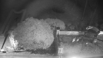 Snímek    8.11.2025 v 19:00