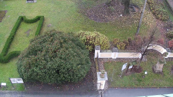 Snímek 9.11.2025 v 09:00