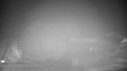 Veselíčko - zahrada u zámku