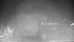 Veselíčko - zahrada u zámku