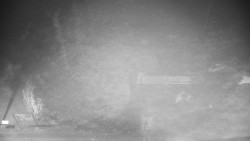 Veselíčko - zahrada u zámku