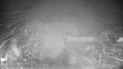 Veselíčko - zahrada u zámku