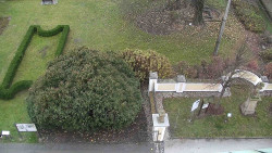 Veselíčko - zahrada u zámku